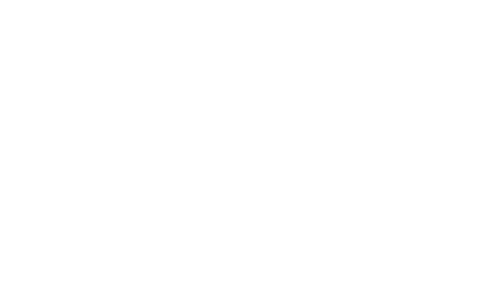 Ikona BIP
